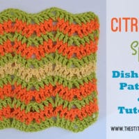 Citrus Splash Dishcloth by The Stitchin' Mommy